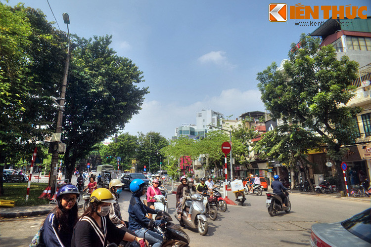 Cuối cùng là Hàng Bông Thợ Nhuộm, gọi tắt là Hàng Bông Nhuộm, là đoạn cuối phố Hàng Bông, chạy dọc vườn hoa Cửa Nam thông ra đường Điện Biên Phủ. Hồi đầu thế kỷ 20, người phố này gốc làng Huê Cầu và Liêu Xá (huyện Yên Mỹ, Hải Hưng) có nghề nhuộm thâm các loại vải lụa.