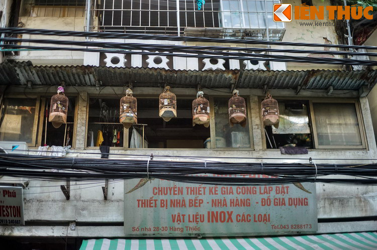 Phố nằm trên nền đất xưa thuộc thôn Yên Nội, tổng Tiền Túc (sau đổi là tổng Thuận Mỹ), huyện Thọ Xương. Tương truyền, cụ tổ đời thứ 3 của họ Trần quê ở thôn Đan Hội (phủ Thường Tín, tỉnh Hà Đông cũ) là người khai sinh ra nghề thiếc ở phố này.