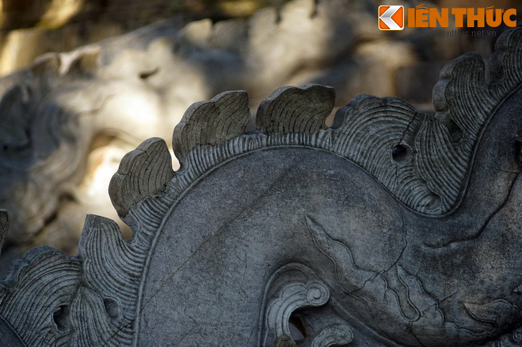 Phần vây rồng đá được tạo tác suốt từ đầu tới tận chóp đuôi, vừa dựng đứng khỏe mạnh, vừa vuốt nhọn dần lên đỉnh và lướt về phía sau tương đối mềm mại.