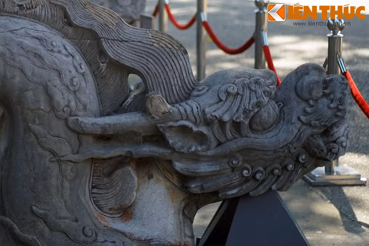 Đôi sừng nhọn khép lại đằng sau theo tư thế đầu rồng ngẩng lên chầu vua. Với tư thế này, đôi sừng, biểu tượng của sức mạnh, không dương ra như ở tư thế chiến đấu thường thấy ở các loài vật có sừng, mà trở nên dáng vẻ thần phục trước mặt nhà vua.