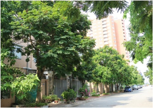 Những con đường thoáng rộng, rợp bóng cây xanh và hạ tầng hoàn thiện xung quanh tòa nhà CT1A và CT1B trong khu đô thị Nghĩa Đô.