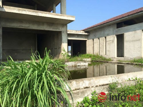 Thiên nhiên đang lấy đi bãi biển đẹp nhất của người dân Quảng Nam, nhà đầu tư thì tháo chạy.