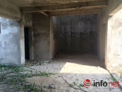 Cát được gió biển thổi vào trở thành nơi trình diễn của hoa muống biển.