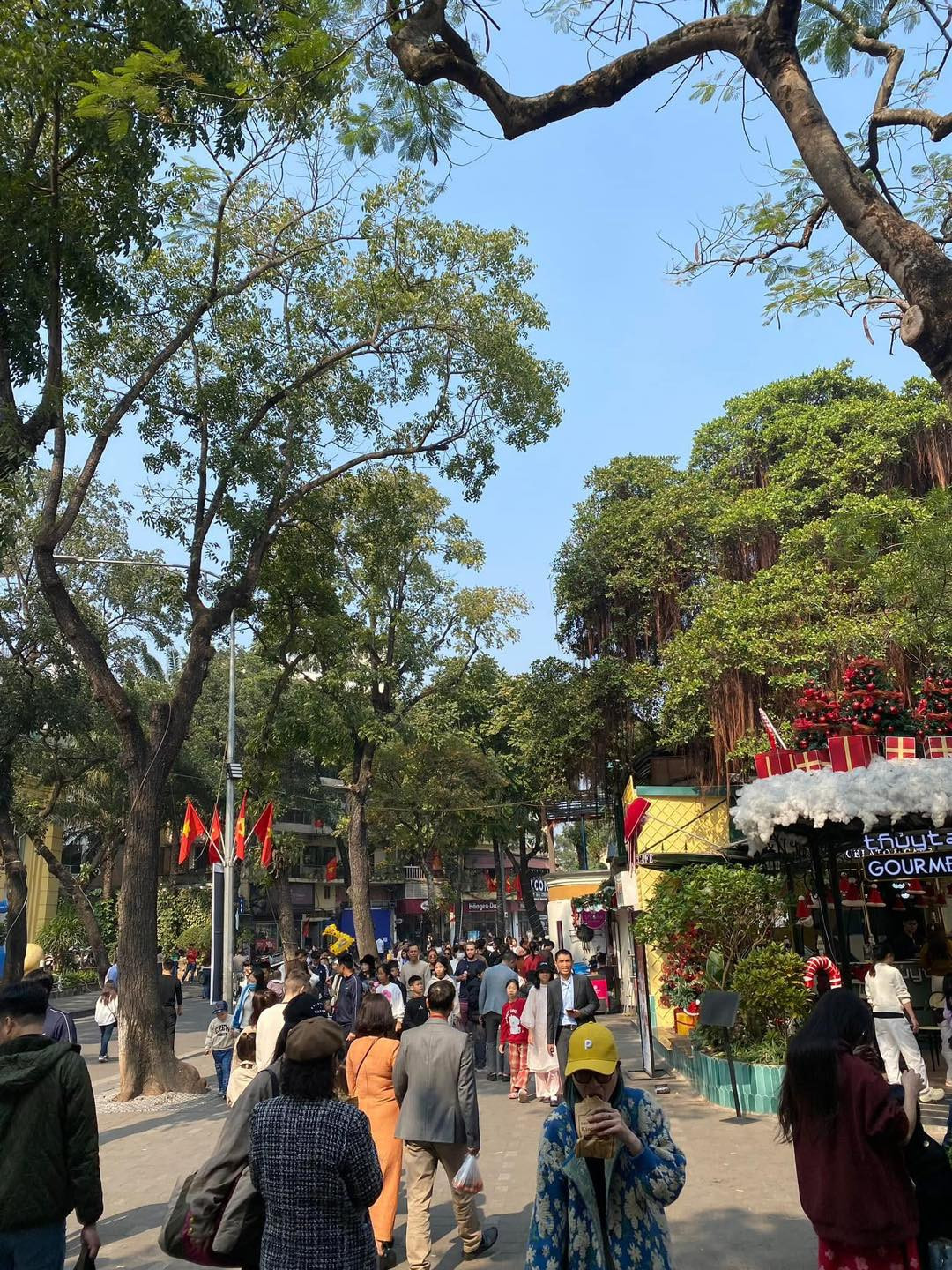 Nhiều nhóm bạn trẻ đã rủ nhau lên hồ Gươm từ sáng sớm để dạo phố, chụp ảnh. Nhiều gia đình cũng cùng nhau "đi chơi Tết" Dương lịch, thưởng thức các món ngon của Hà Nội.