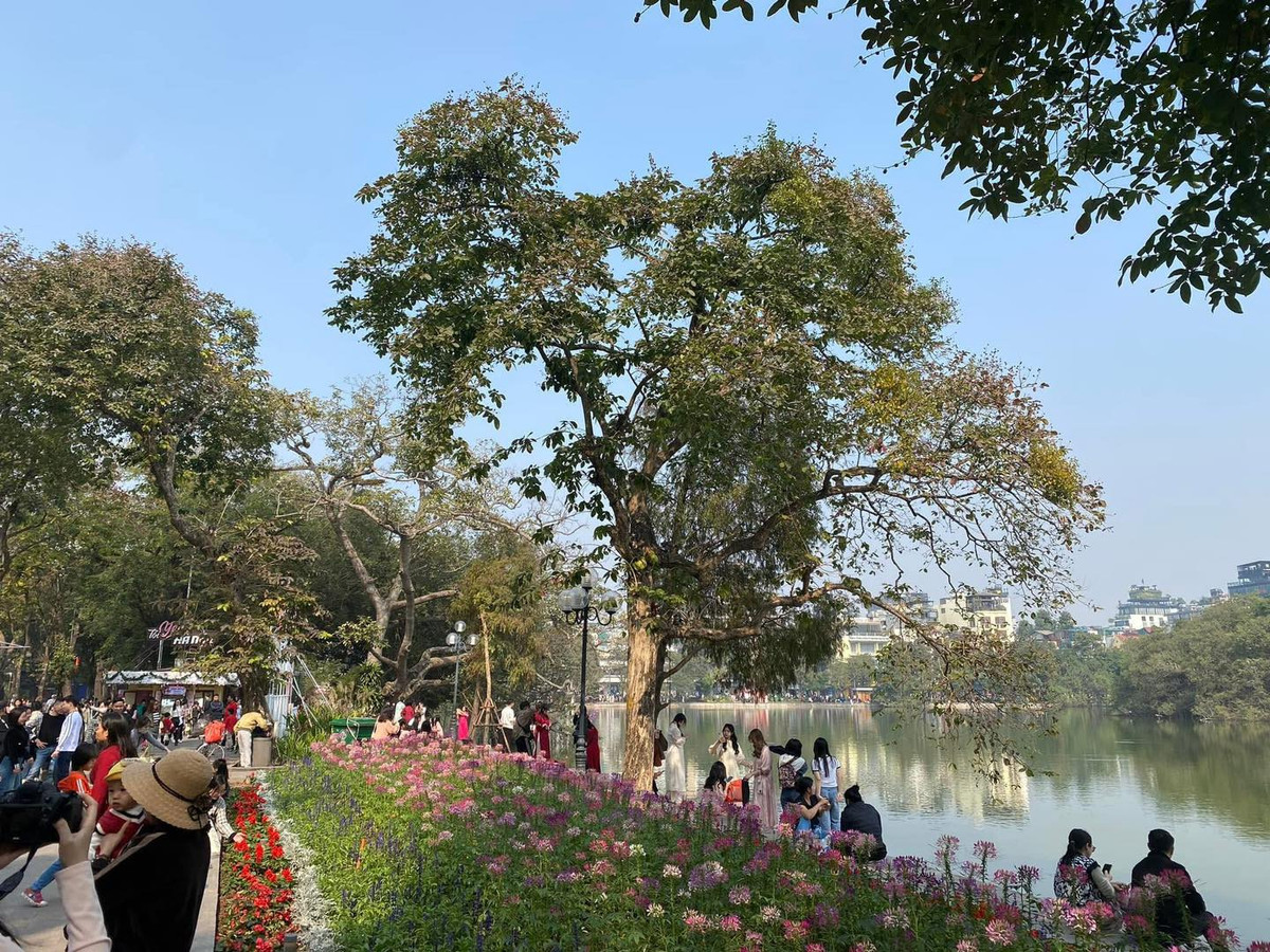 Quanh hồ Gươm, những vườn hoa đủ màu khoe sắc cũng là địa điểm lý tưởng để các nàng thơ khoe dáng trong những bức hình.