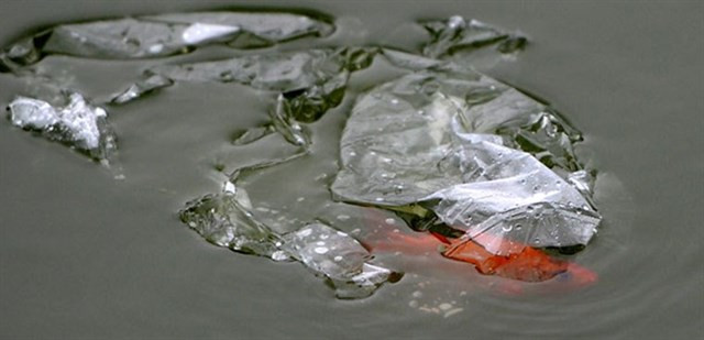 Trước 12h trưa 23 tháng Chạp, nhiều gia đình cũng thường tỉa chân nhang, lau dọn bàn thờ sạch sẽ, có nhà còn thay bát hương mới… Khi hóa vàng xong tất cả tro, chân nhang, bát hương cũ được gom lại mang ra sông thả.