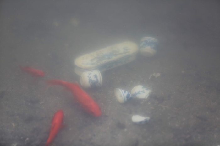 Sau khi cá chép được thả xuống sông, suối, ao hồ, người thả cá chẳng quan tâm đến việc thu dọn túi bóng đựng cá, vì vậy dễ gặp là túi nilon ngập mặt hồ, là bàn thờ cũ, tàn tro cũng lềnh phềnh trôi trên mặt nước gây ô nhiễm môi trường.