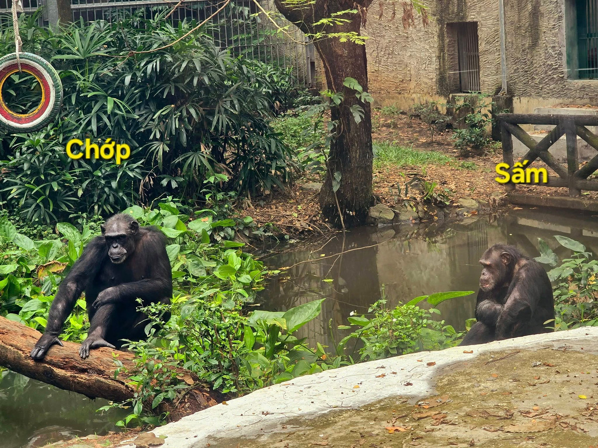 Chóp là vợ, sấm là chồng...