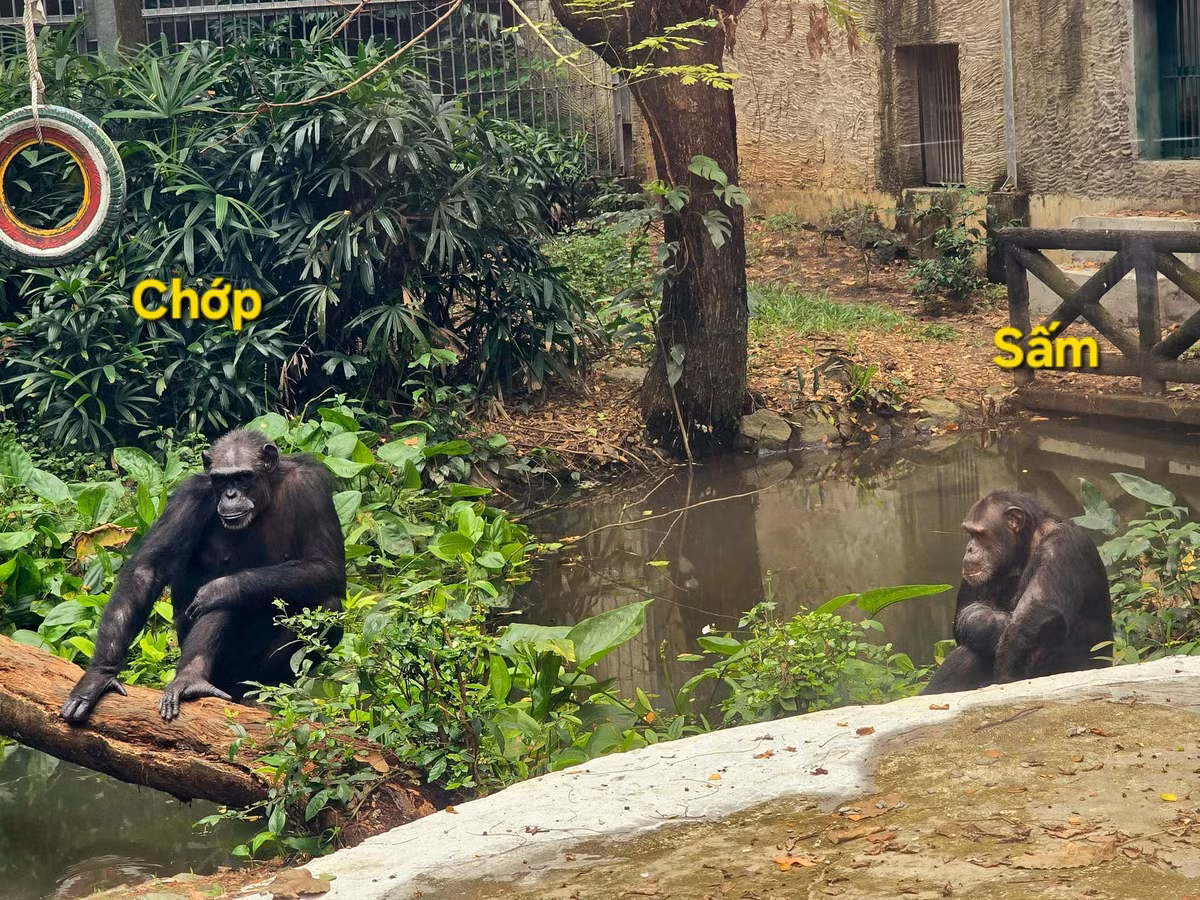 Chóp là vợ, sấm là chồng...