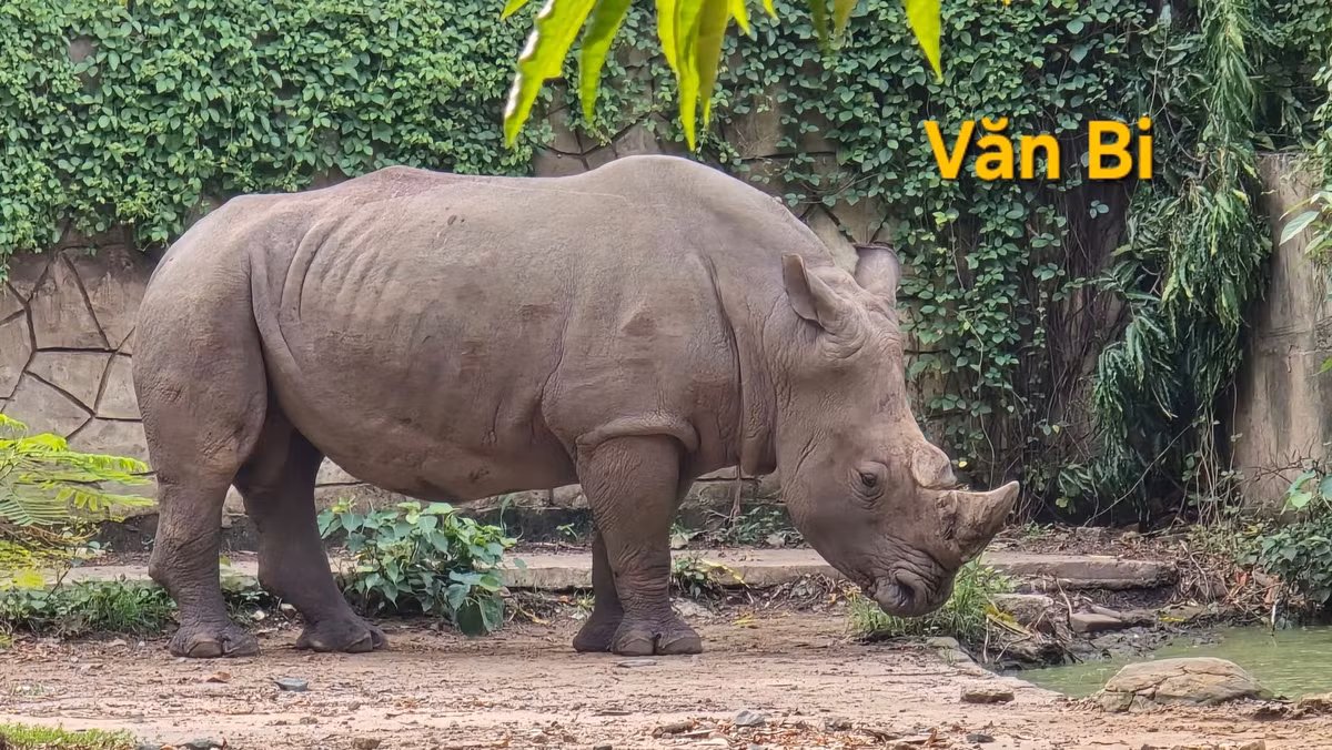 Nhiều cư dân mạng bình luận rằng họ sẽ nhớ kỹ tên những "nhân viên 4 chân" của Thảo Cầm Viên để lần sau tới đây gọi cho đúng, thế mới thể hiện sự tôn trọng.