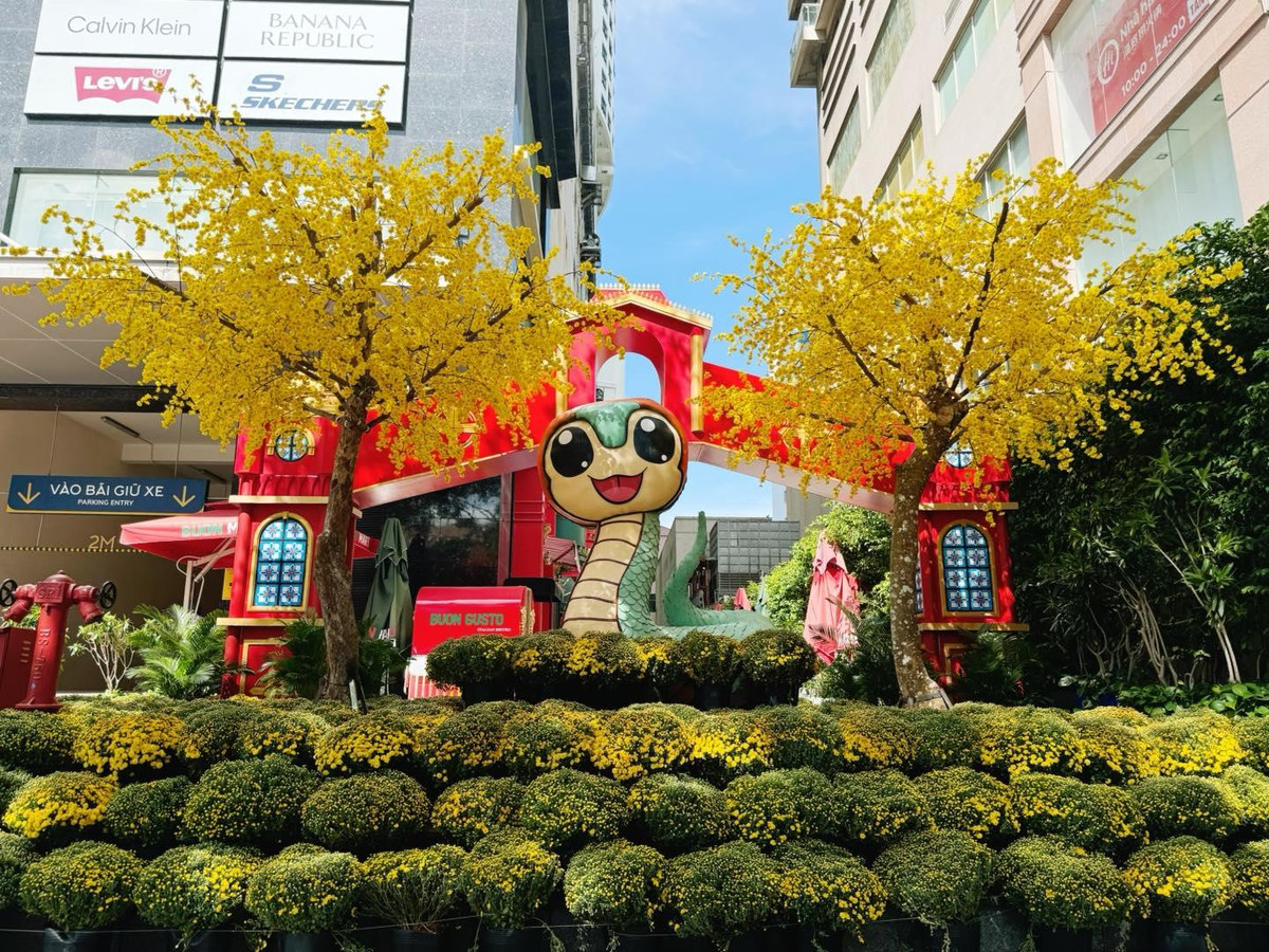 Phía dưới linh vật rắn được trang trí bằng hàng chục chậu cúc mâm xôi và hai cây mai khổng lồ để tạo ra khung cảnh mùa xuân