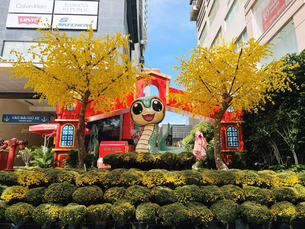 Phía dưới linh vật rắn được trang trí bằng hàng chục chậu cúc mâm xôi và hai cây mai khổng lồ để tạo ra khung cảnh mùa xuân
