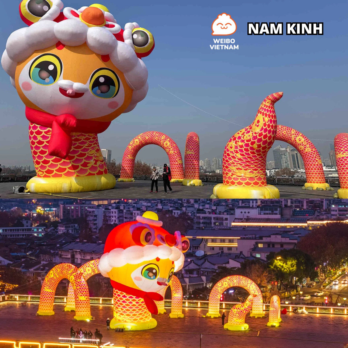 Chú rắn ở Nam Kinh đang bị một bộ phận cộng đồng mạng xứ Trung "body shaming" vui vì có hình dáng không mấy bắt mắt.