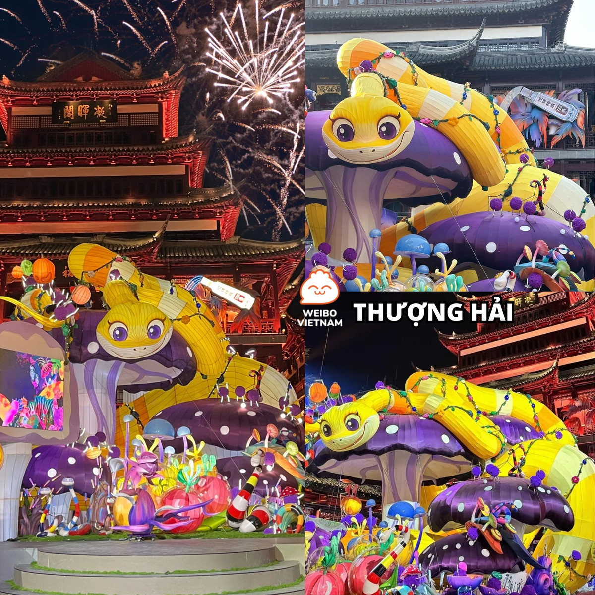 Mô hình chú rắn ở Thượng Hải được tạo hình đang trườn bò trên những cây nấm màu tím vô cùng bắt mắt.