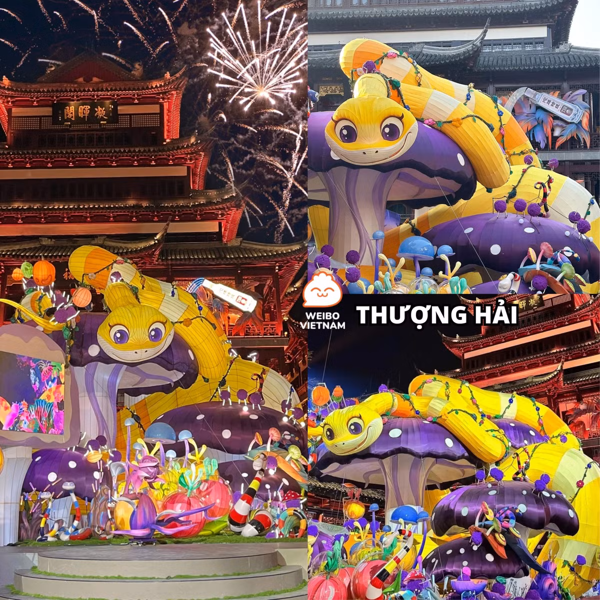 Mô hình chú rắn ở Thượng Hải được tạo hình đang trườn bò trên những cây nấm màu tím vô cùng bắt mắt.