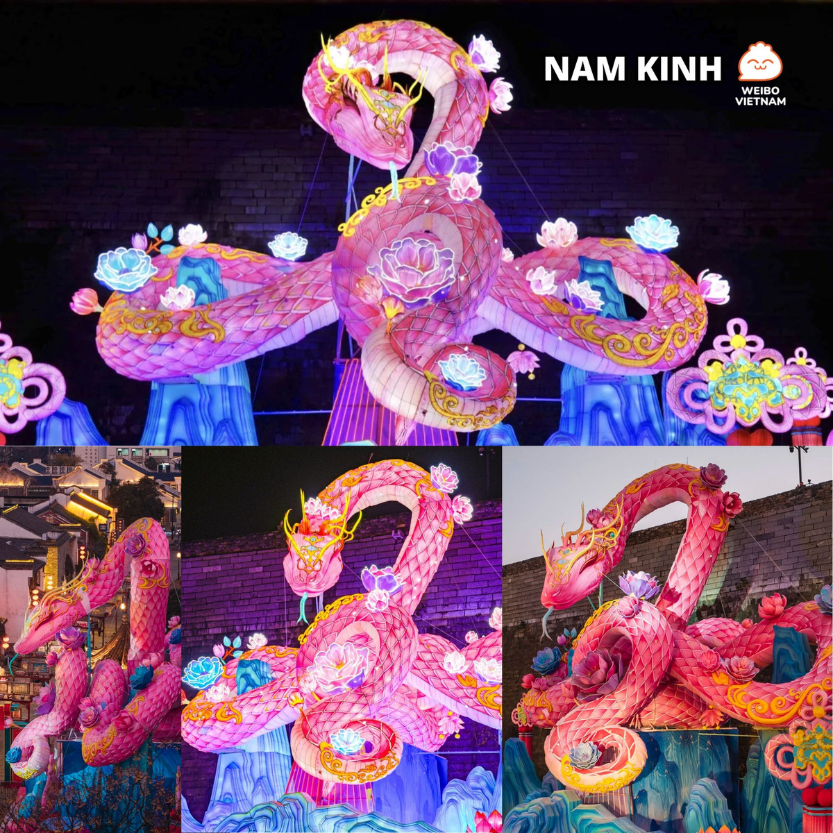 Trong năm Ất Tỵ, hình ảnh con Rắn là biểu tượng của sự thông minh, khéo léo và kiên trì. Theo quan niệm văn hóa phương Đông, Rắn còn mang ý nghĩa của sự tái sinh và đổi mới.