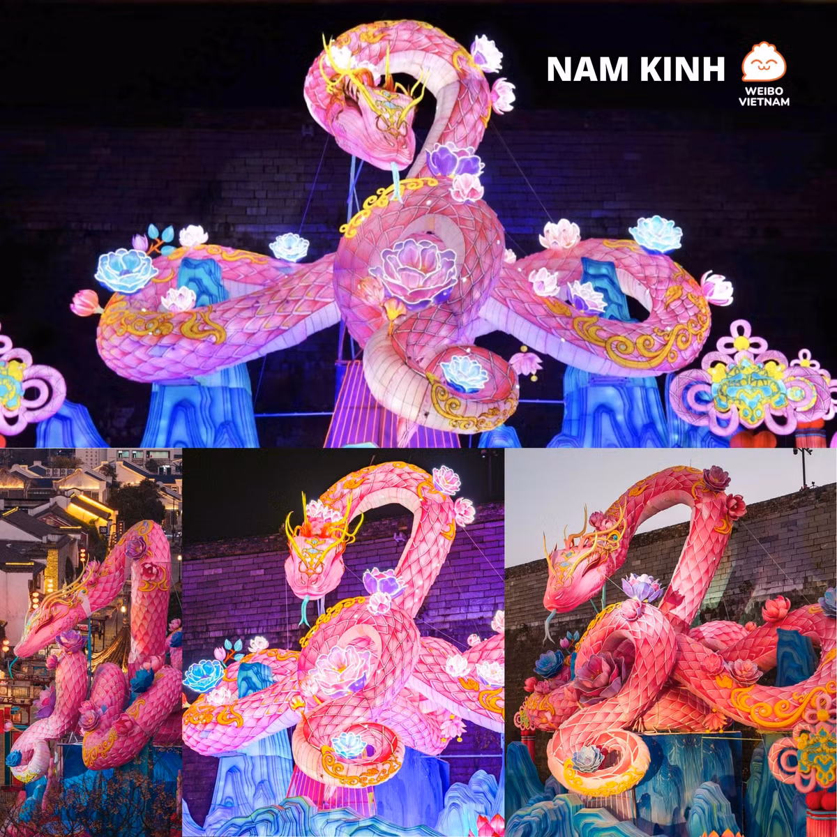 Trong năm Ất Tỵ, hình ảnh con Rắn là biểu tượng của sự thông minh, khéo léo và kiên trì. Theo quan niệm văn hóa phương Đông, Rắn còn mang ý nghĩa của sự tái sinh và đổi mới.