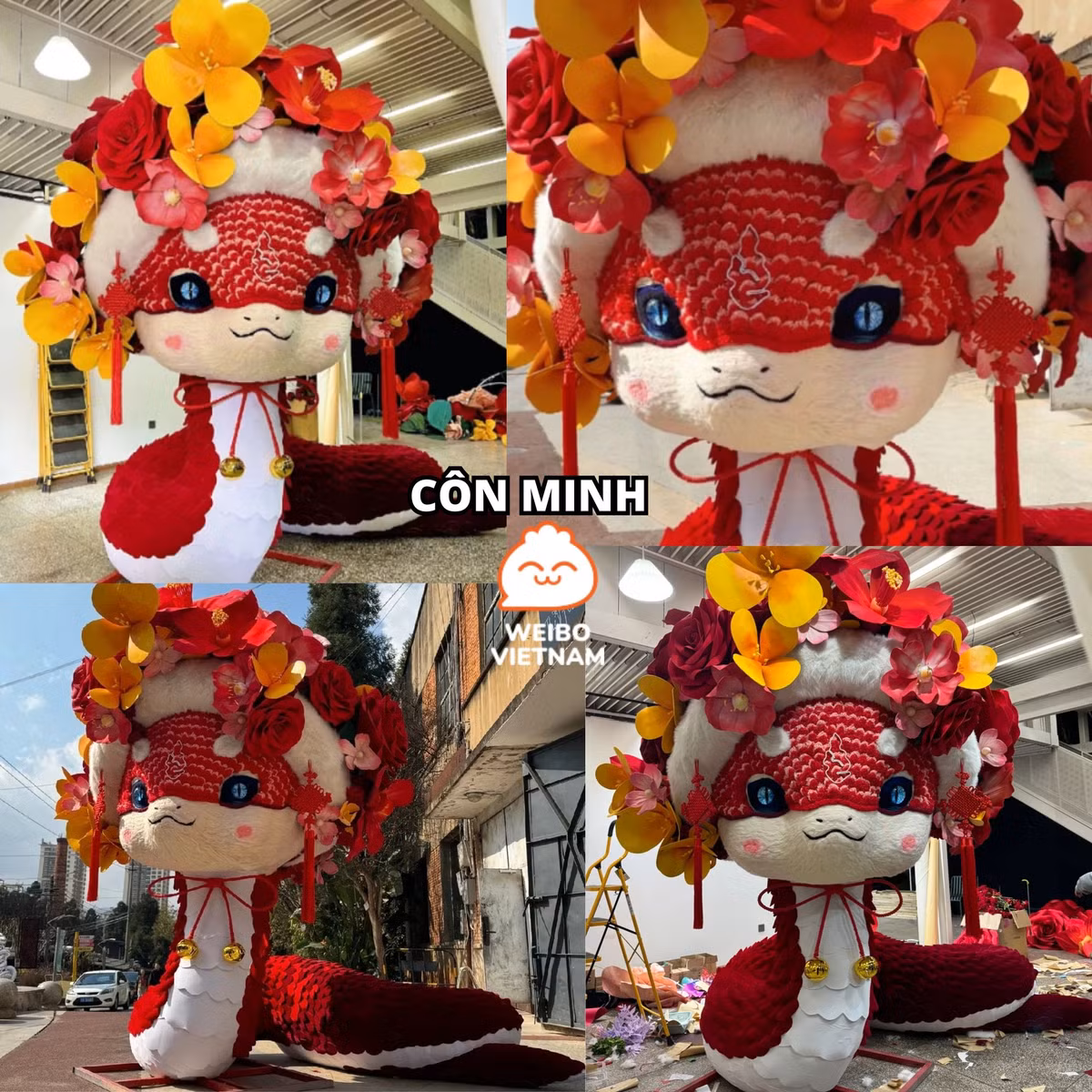 Chú rắn ở Côn Minh được khoác lên mình sắc đỏ với với tạo hình cực kỳ đáng yêu.