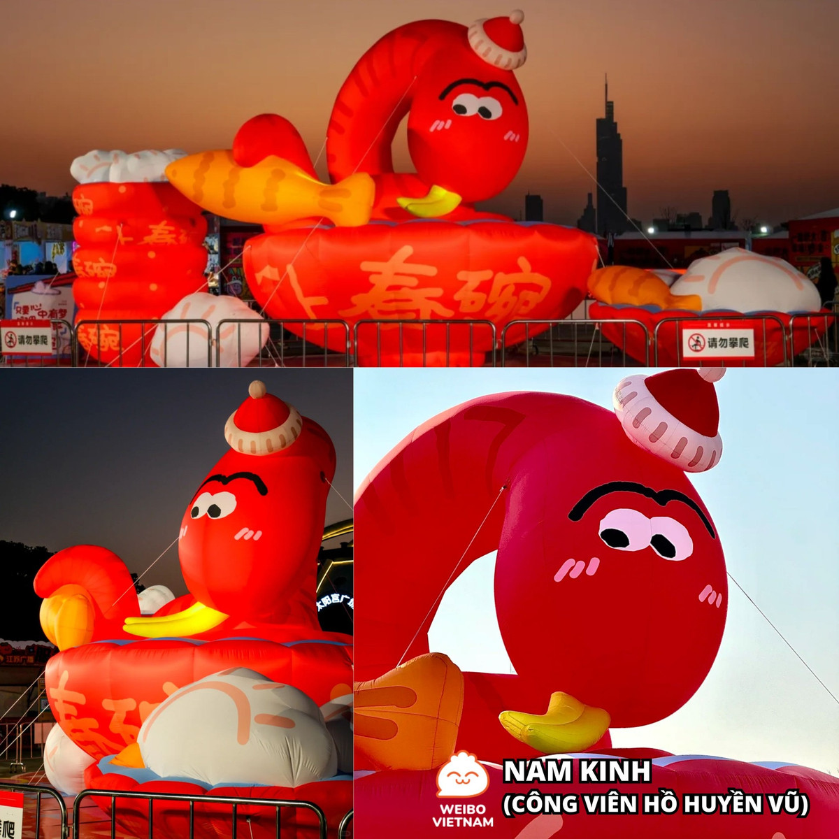 Chú rắn ở công viên Hồ Huyền Vũ được netizen nhận xét "trông có vẻ ngốc ngếch".