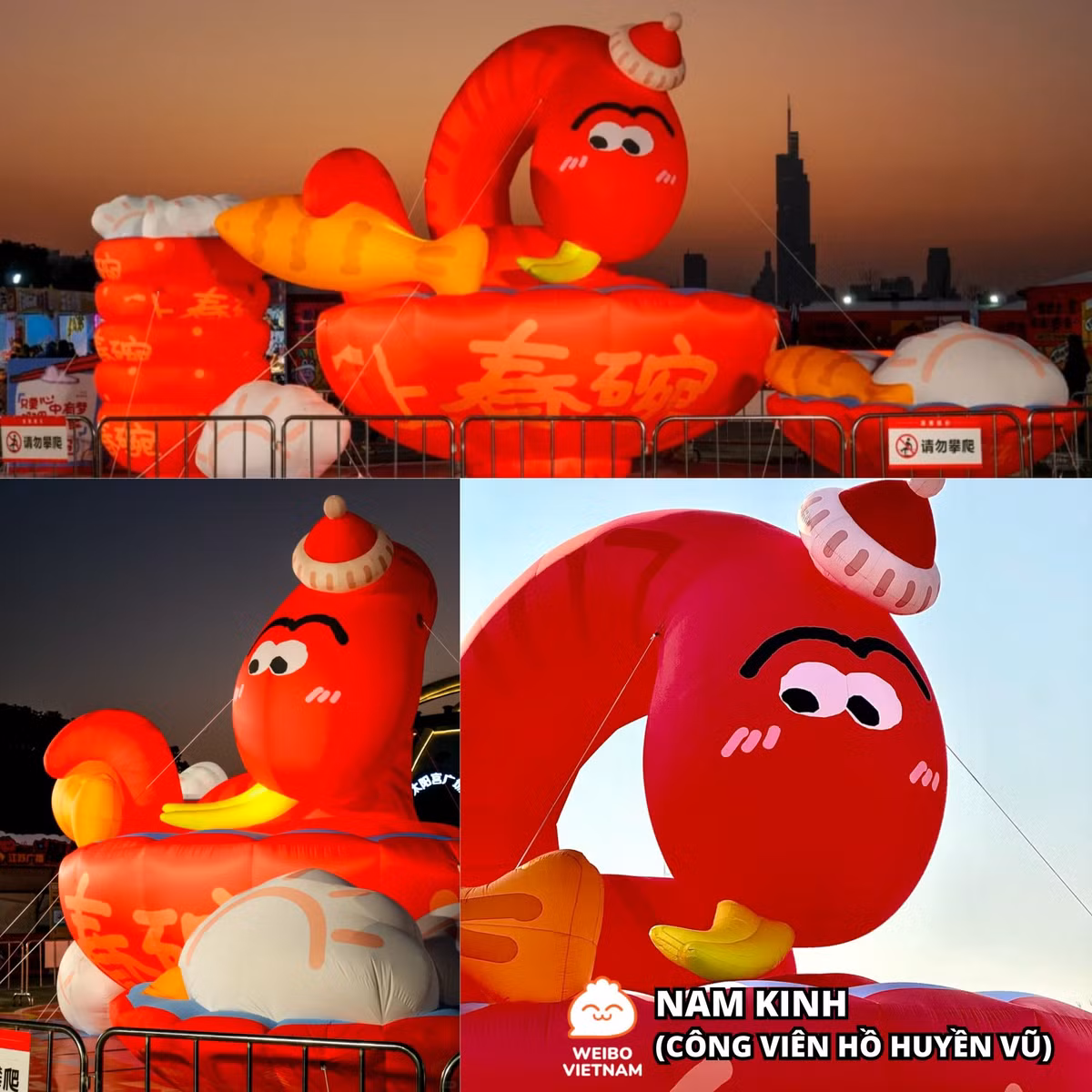 Chú rắn ở công viên Hồ Huyền Vũ được netizen nhận xét "trông có vẻ ngốc ngếch".