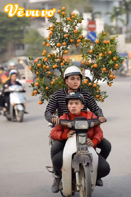 Bạn đã bao giờ tưởng tượng ra các cầu thủ bóng đá nổi tiếng của Việt Nam sẽ như thế nào khi về quê ăn Tết? Hãy cùng khám phá những hình ảnh hài hước và sáng tạo của cộng đồng mạng nhé!