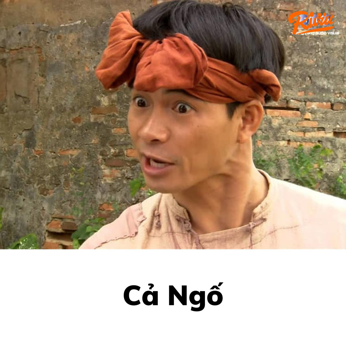 Với hình ảnh nhân vật Cả Ngố ngây thơ, thật thà, bộ phim đã tạo nên một làn sóng yêu thích đối với khán giả.