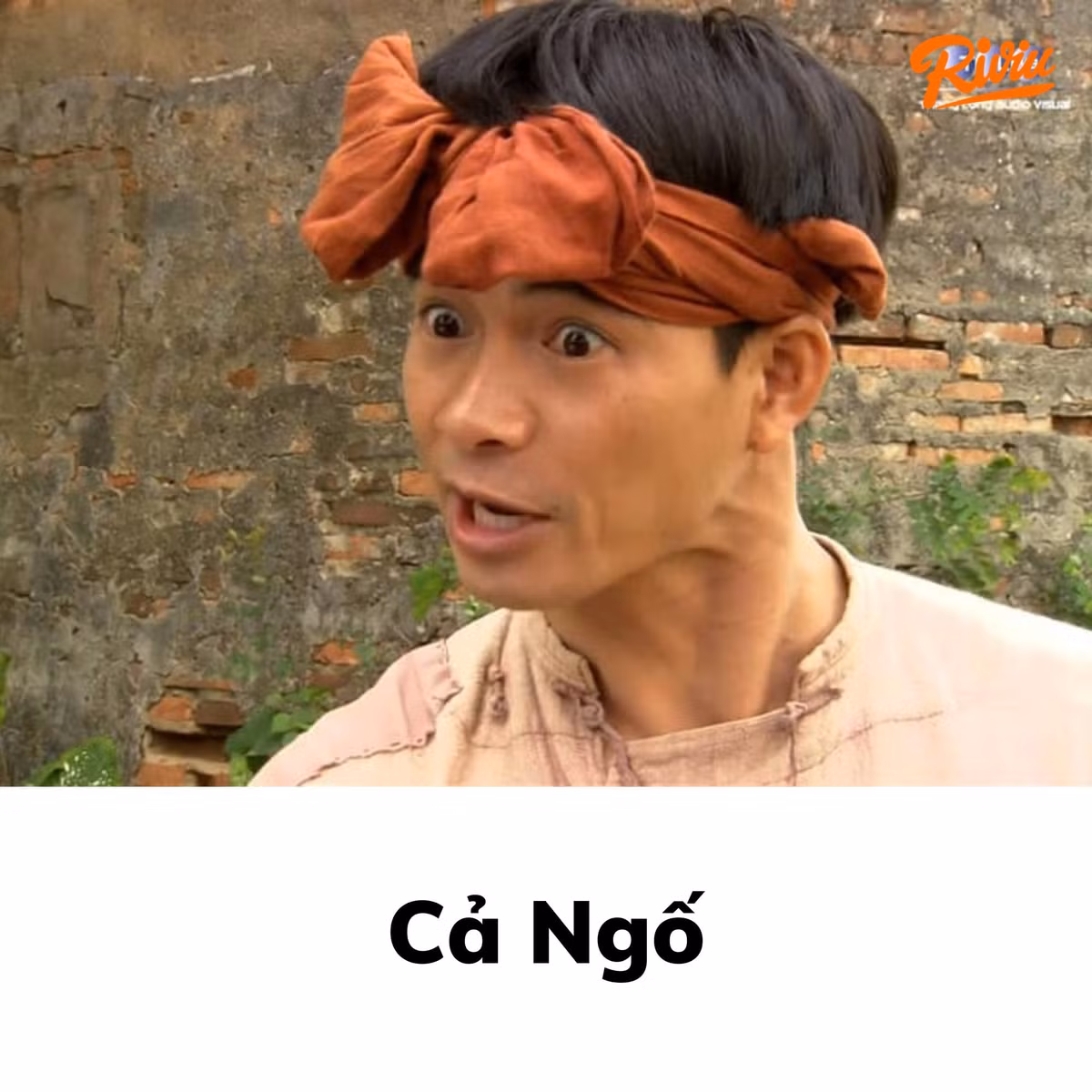Với hình ảnh nhân vật Cả Ngố ngây thơ, thật thà, bộ phim đã tạo nên một làn sóng yêu thích đối với khán giả.