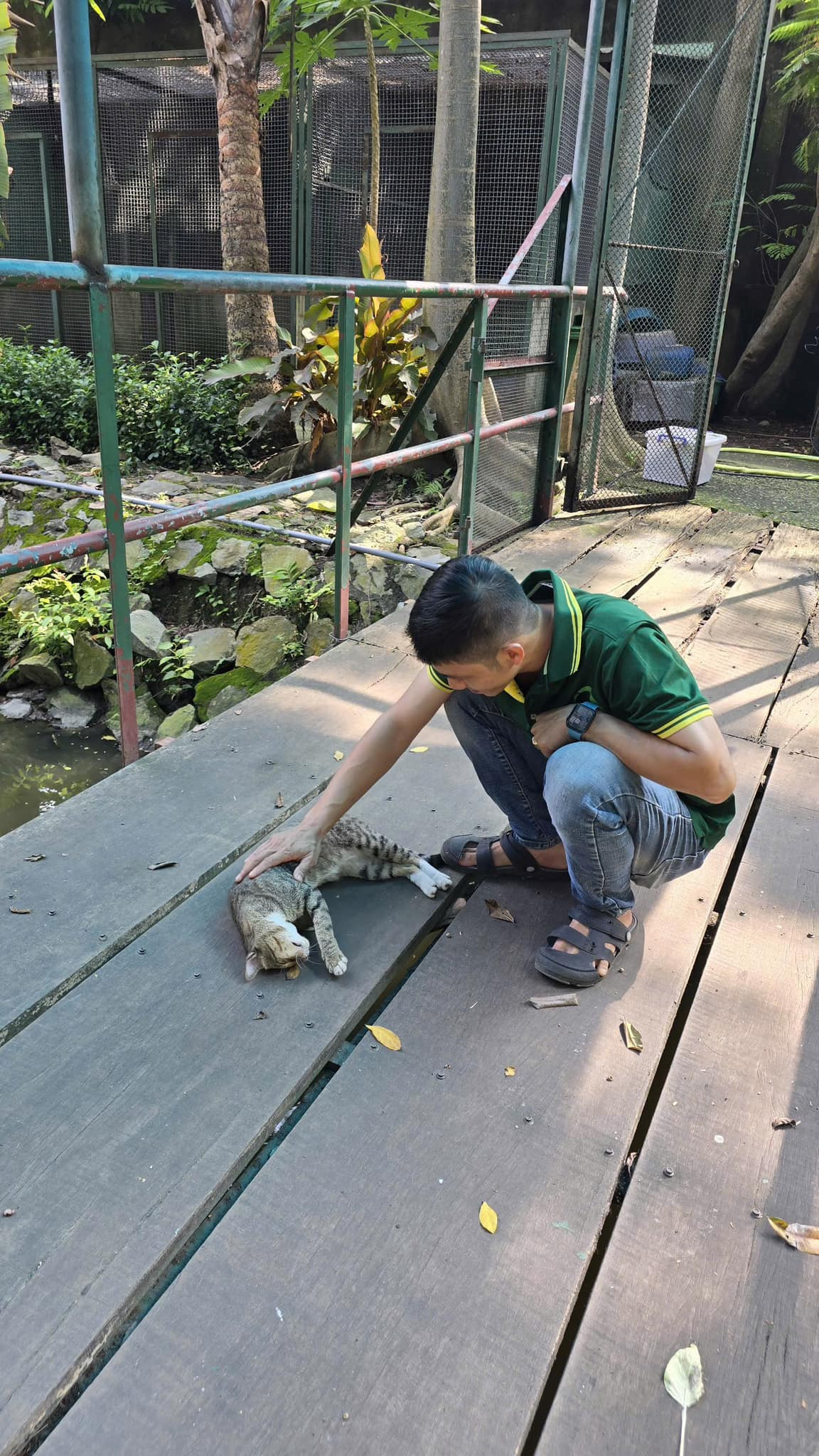 Trước hành vi tung tin giả mạo, Thảo Cầm Viên đã quyết định sẽ không bỏ qua. Đơn vị đang tiến hành các thủ tục pháp lý để xử lý nghiêm những cá nhân, tổ chức đã cố tình tung tin đồn thất thiệt, gây ảnh hưởng đến uy tín của Thảo Cầm Viên.