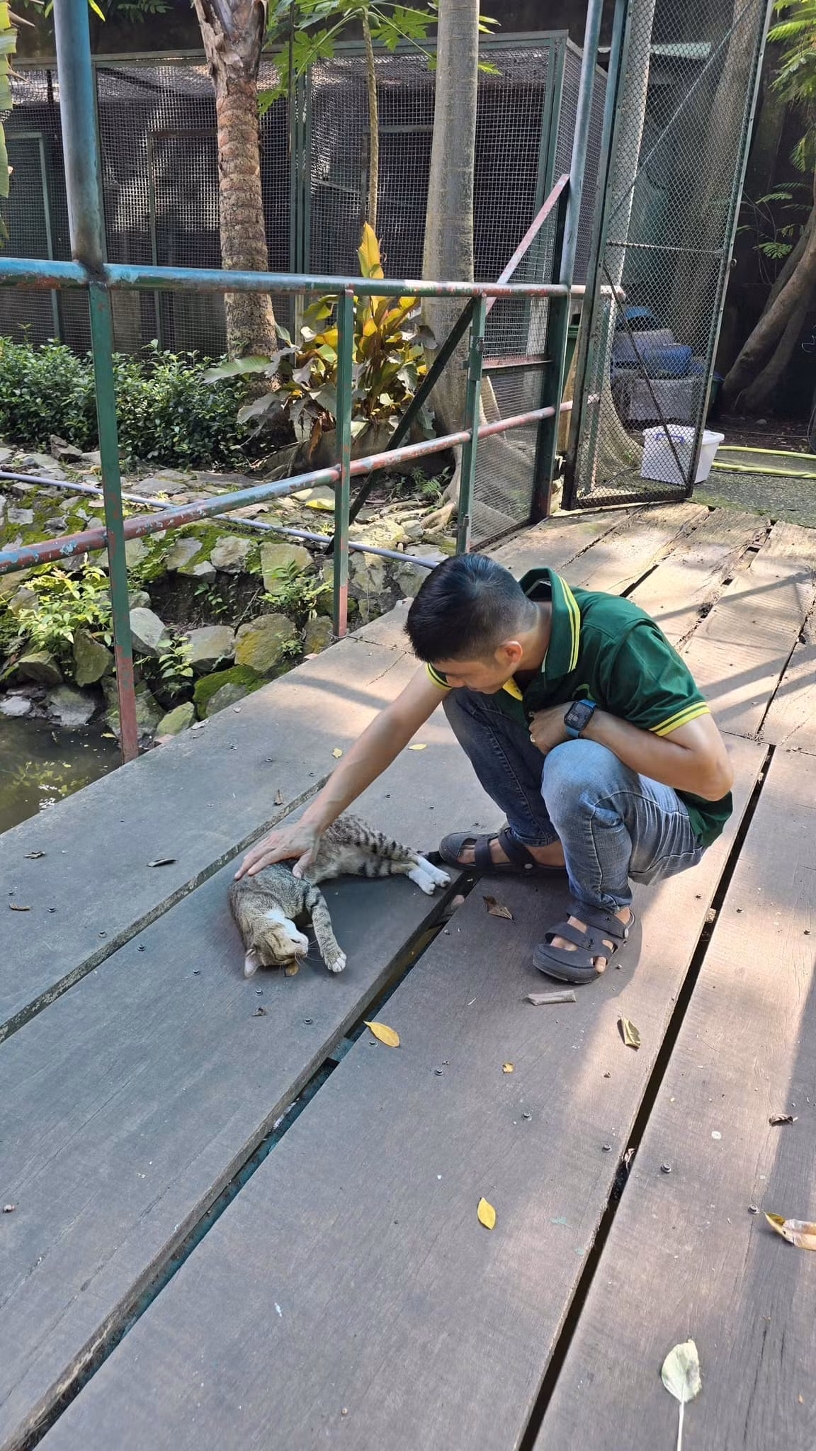 Trước hành vi tung tin giả mạo, Thảo Cầm Viên đã quyết định sẽ không bỏ qua. Đơn vị đang tiến hành các thủ tục pháp lý để xử lý nghiêm những cá nhân, tổ chức đã cố tình tung tin đồn thất thiệt, gây ảnh hưởng đến uy tín của Thảo Cầm Viên.