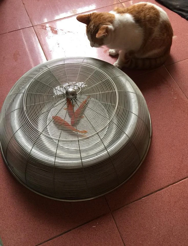 Cách để phòng bị "lưu manh" trong nhà.