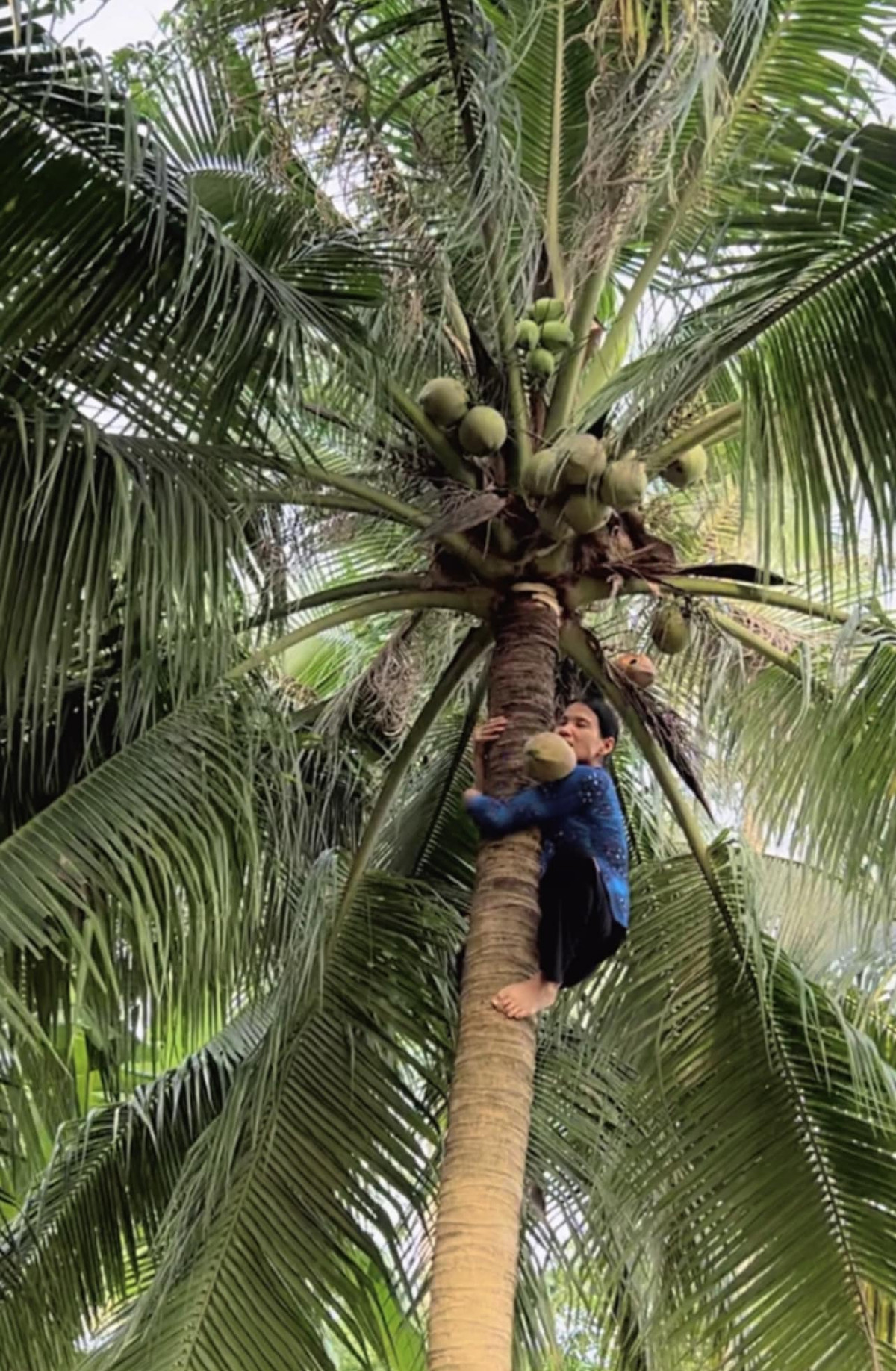 Nhờ những ý tưởng độc đáo của Phương Anh, cô đã khéo léo biến mẹ mình thành "nàng thơ" của shop thời trang gia đình.