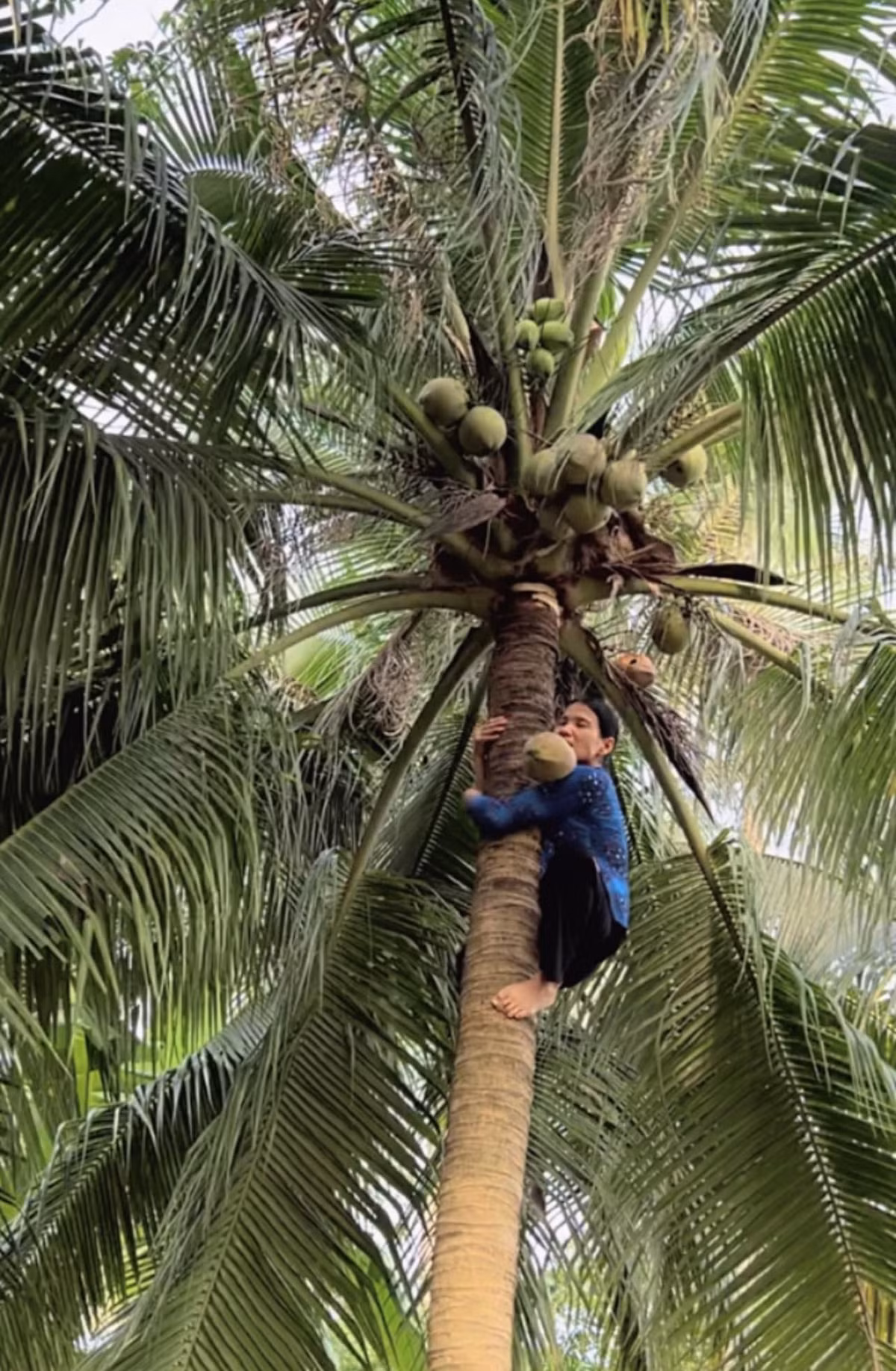 Nhờ những ý tưởng độc đáo của Phương Anh, cô đã khéo léo biến mẹ mình thành "nàng thơ" của shop thời trang gia đình.