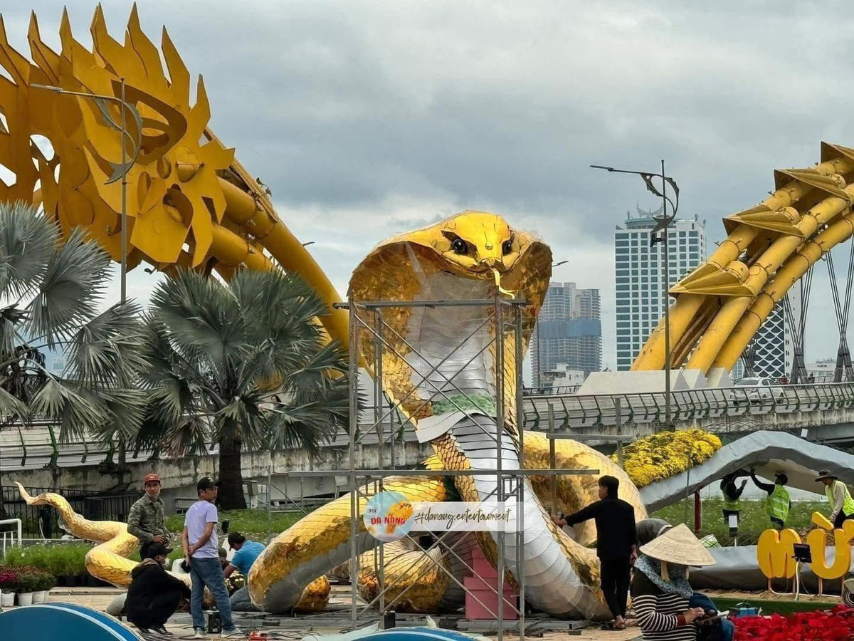 Được biết, linh vật rắn này được đặt tại phía nam cầu Rồng phía quận Hải Châu (đối diện Bảo tàng Chăm). Tại đây bố trí những đường hoa uốn lượn dẫn về cụm hoa ở giữa, là nơi đặt linh vật rắn.