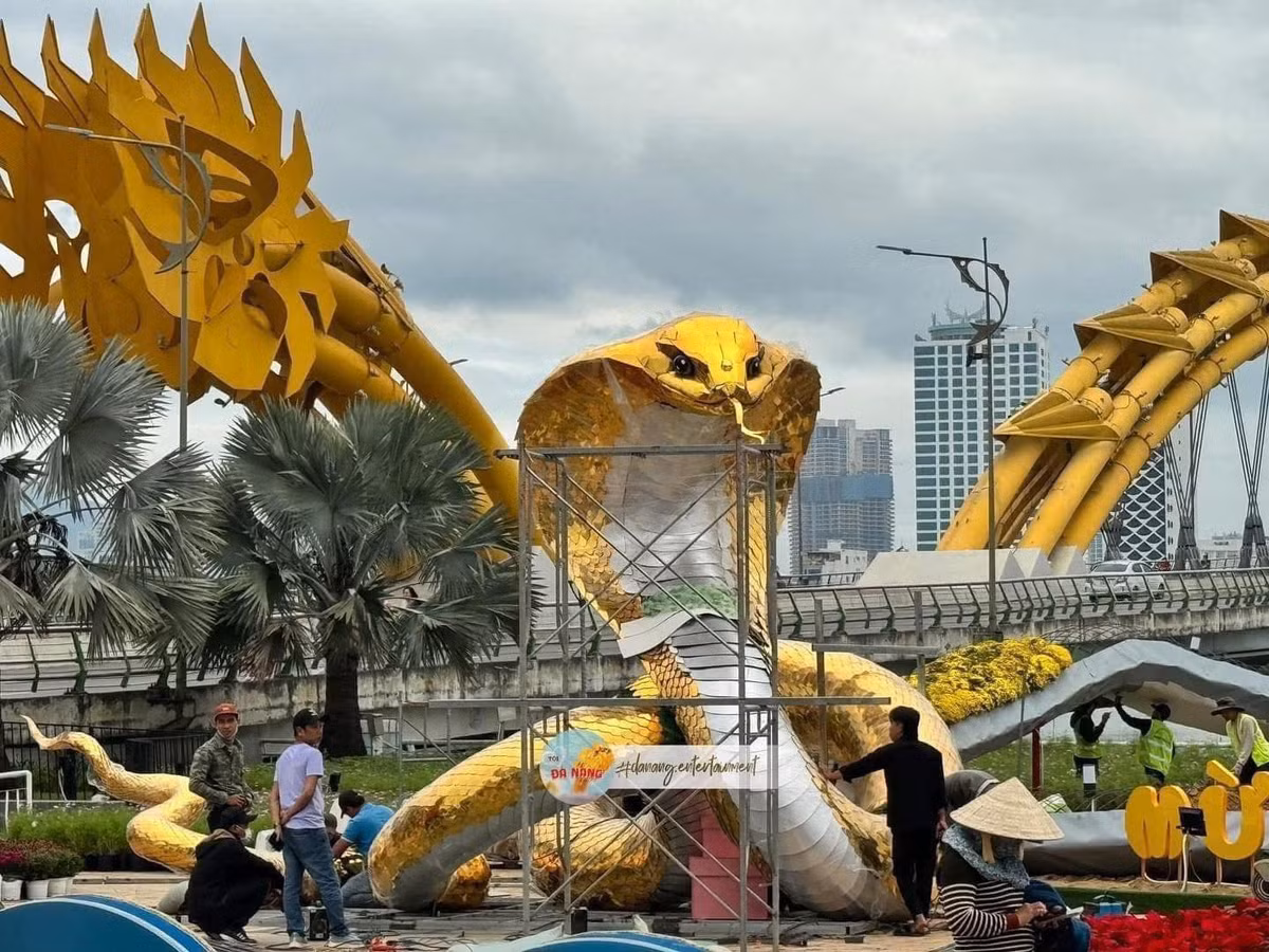 Được biết, linh vật rắn này được đặt tại phía nam cầu Rồng phía quận Hải Châu (đối diện Bảo tàng Chăm). Tại đây bố trí những đường hoa uốn lượn dẫn về cụm hoa ở giữa, là nơi đặt linh vật rắn.