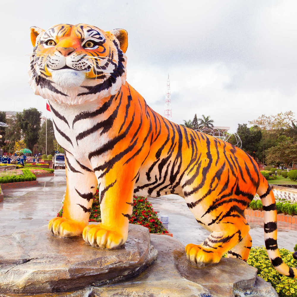 Chú hổ từng được mệnh danh là quán quân linh vật trong cuộc thi không chính thức để bình chọn linh vật đẹp nhất mỗi dịp Tết Nguyên đán, cũng do nghệ nhân Đinh Văn Tâm thực hiện.