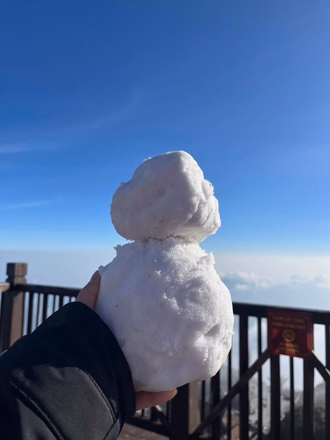 Du khách cùng không quên tạo hình người tuyết check-in.