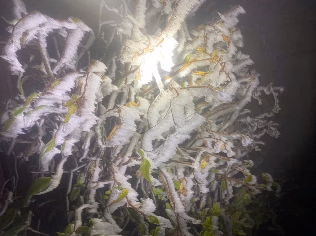 Đây là lần hiếm hoi mà băng giá bao phủ Fansipan dày đặc và kéo dài đến vậy, tạo nên một hiện tượng tự nhiên kỳ thú, thu hút sự quan tâm của du khách.