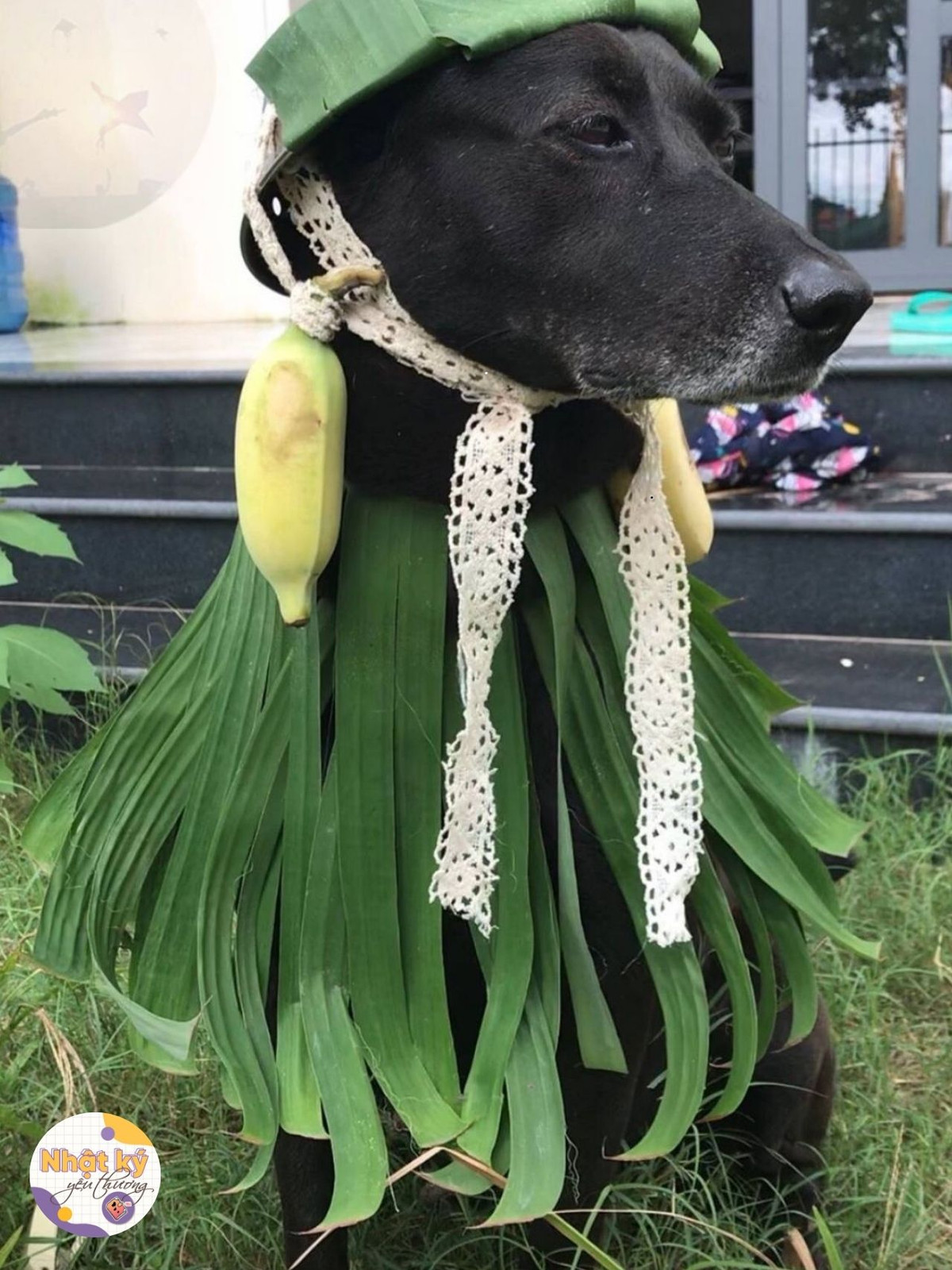 Góc nghiêng thần thánh...