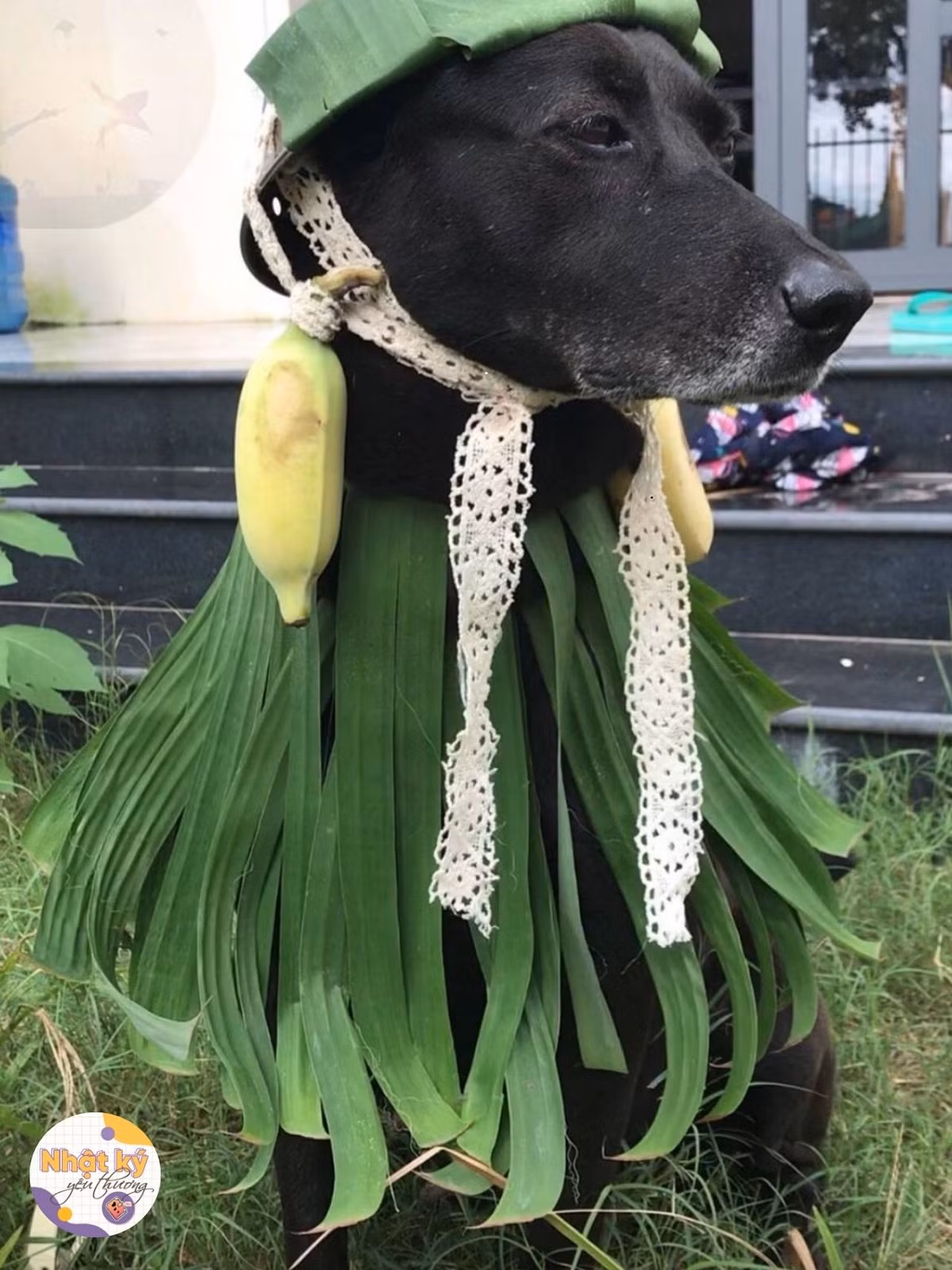 Góc nghiêng thần thánh...