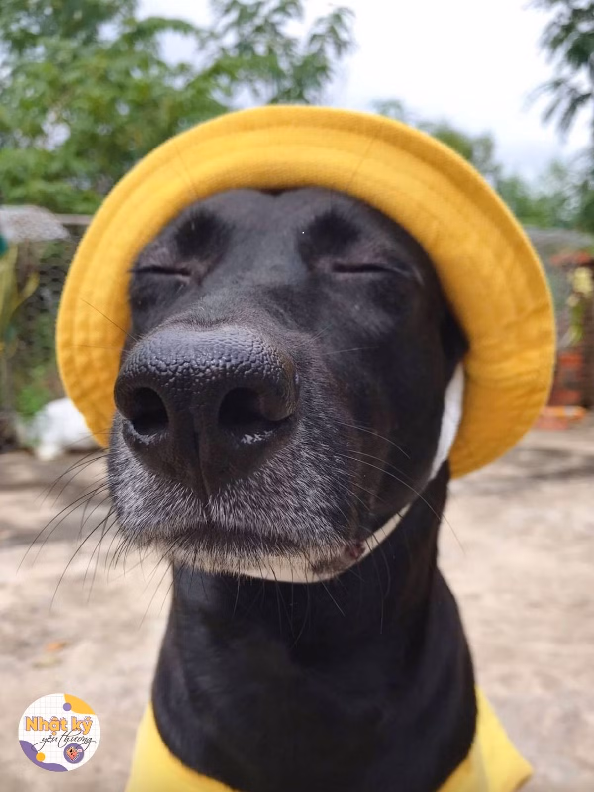 "Nam thần lạnh lùng trong truyền thuyết" - Netizen hài hước bình luận.