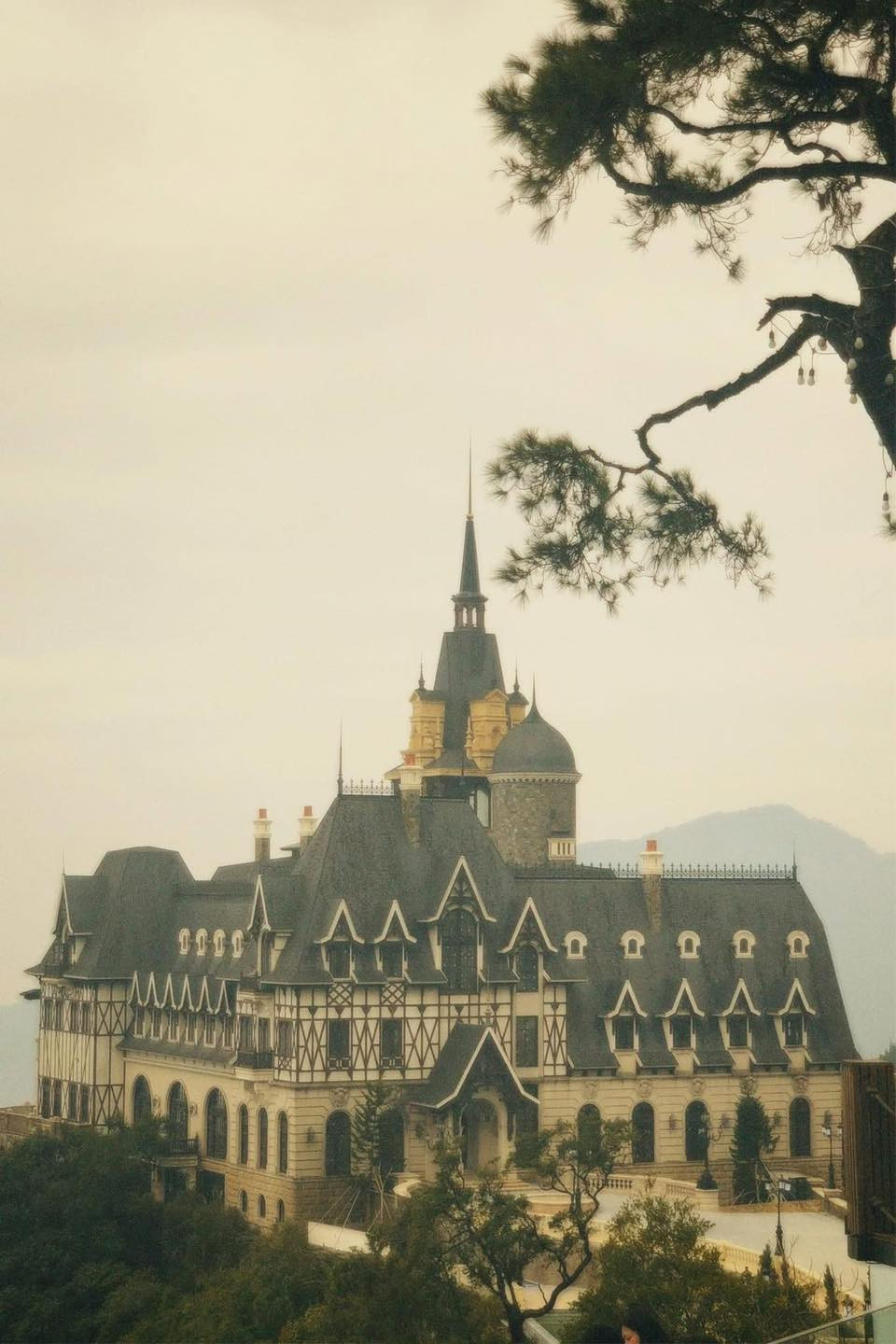 "Nhìn tưởng ra là Hogwarts mở chi nhánh tại Việt Nam", "đã trải nghiệm cảm giác nằm trên giường khách sạn ngắm toà lâu đài lúc ẩn lúc hiện trong làn sương. Kể cũng kỳ diệu phết", "như trong hoạt hình vậy" - cư dân mạng bày tỏ trước khung cảnh của tòa lâu đài.