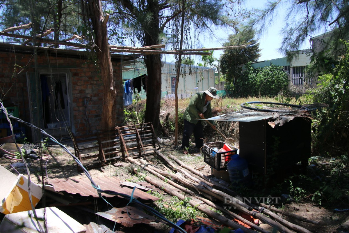 Tại khu vực dự án Làng Đại học Đà Nẵng cho thấy những ngôi nhà tạm "chờ" quy hoạch đã cũ kỹ, xuống cấp, hư hỏng nghiêm trọng. Nhiều vị trí chưa được xây dựng "đắp chiếu" trong thời gian dài trở nên hoang hóa, cỏ mọc um tùm. (Ảnh: Dân Việt).