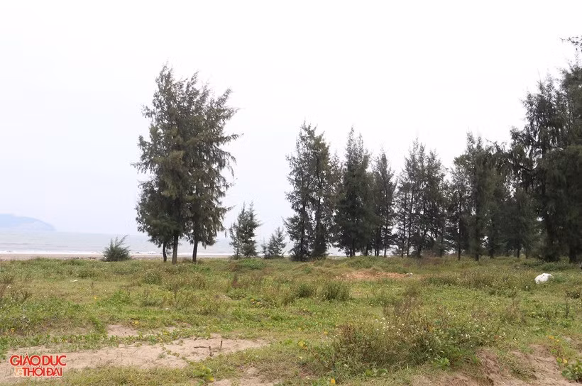 Tính từ khi được tỉnh Nghệ An cấp giấy chứng nhận đầu tư lần đầu, dự án triển khai trên diện tích đất hơn 132 ha, với quy mô gồm 2 khu: Khu tổ hợp sân golf, khách sạn, biệt thự và khu vực kho, công trình phụ trợ, vườn ươm, nhà ở cán bộ công nhân viên. Tổng vốn đầu tư là 1.527,85 tỷ đồng, với tiền độ thực hiện 8 năm, kể từ ngày cấp giấy chứng nhận đầu tư đến 28/4/2015. (Ảnh: Giáo dục &amp; Thời đại).