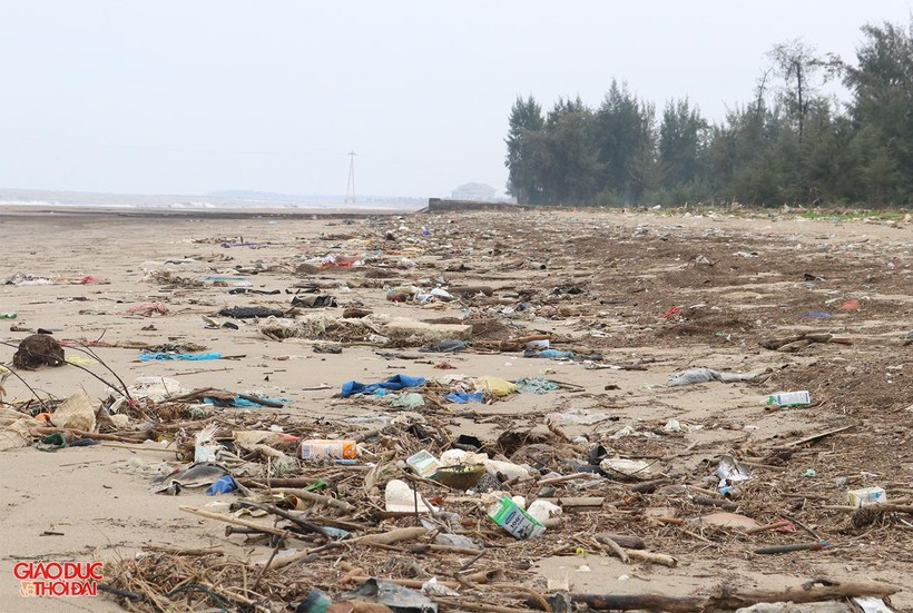Khu bãi biển bàn giao cho dự án nhếch nhác do bị bỏ hoang nhiều năm. (Ảnh: Giáo dục &amp; Thời đại).