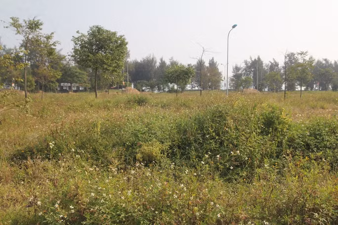 Trái với kỳ vọng sẽ làm "thay da đổi thịt" khu vực bãi biển thị xã Cửa Lò, sau 15 thực hiện, hàng loạt hạng mục công trình của dự án này vẫn "nằm trên giấy". (Ảnh: Người lao động).