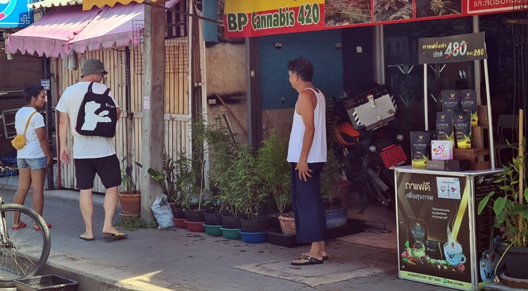 Thái Lan quy định cần sa chỉ được phép sản xuất và tiêu thụ vì mục đích y tế, không sử dụng cho mục đích giải trí, và loại cần sa này phải có hàm lượng chất gây nghiện thấp, chứa ít hơn 0,2% tetrahydrocannabinol (THC, hợp chất gây ảo giác chính).