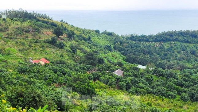 Những công trình kiên cố len lỏi trong đất rừng. (Ảnh: Báo Tiền Phong).