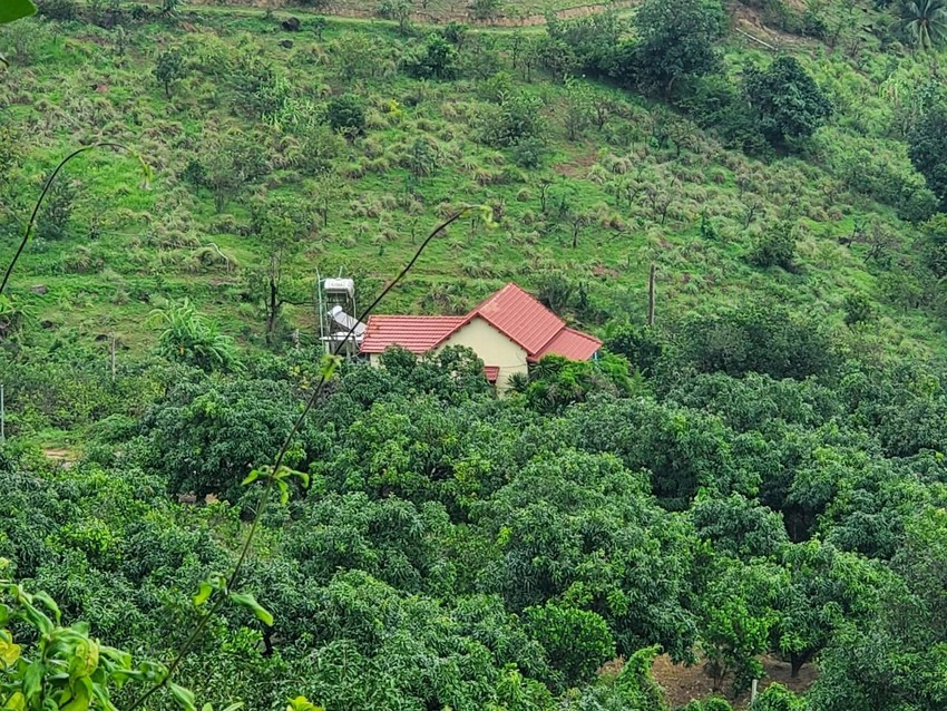 Lãnh đạo TP Quy Nhơn yêu cầu phường này khẩn trương hoàn chỉnh lại báo cáo, trong đó làm rõ trách nhiệm của các tổ chức, cá nhân có liên quan để xảy ra các trường hợp vi phạm nêu trên mà không có biện pháp xử lý kịp thời. (Ảnh: Báo Pháp luật TP.HCM).