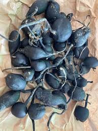 Người ta cũng thường ngâm sâm ô linh với rượu hoặc sắc với trà để uống.