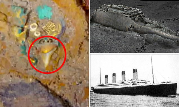 "Việc phát hiện vòng cổ trên là "đáng kinh ngạc, tốt đẹp và ngoạn mục", ông Richard Parkinson, Giám đốc điều hành của công ty vẽ bản đồ biển sâu Magellan Ltd cho biết.